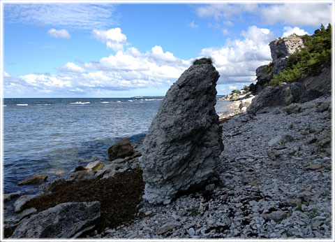 Del av Gotlands kust