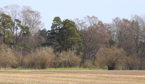 Gotland, Kämpgravar i Juves änge - foto: Bernt Enderborg