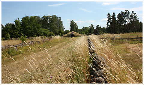 Dei jär mi traugt - foto: Bernt Enderborg