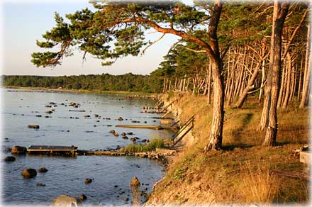 En sträcka kust - foto: Bernt Enderborg