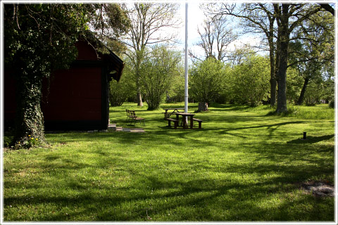 Gotland, Högby äng - foto: Bernt Enderborg