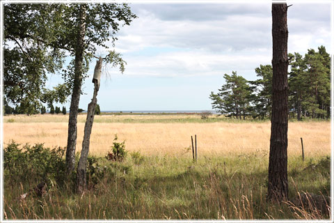 Gotland, Sncknge med lnningar - foto: Bernt Enderborg