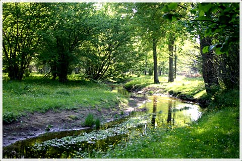 Gotland, Vi fick ett brev om Tjaukle - foto: Bernt Enderborg