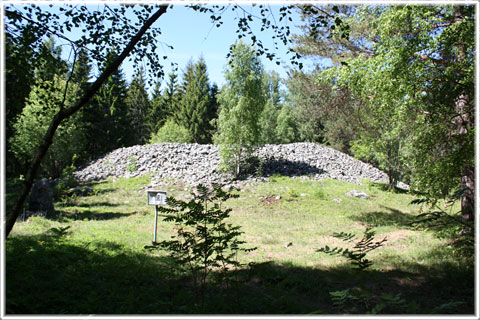 Gotland, Digerrojr - foto: Bernt Enderborg