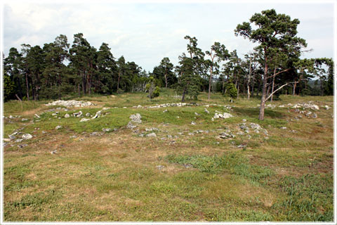 Vykort Gotland