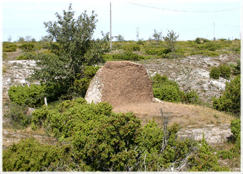 Gotland, Gullstaini - guldstenen - foto: Bernt Enderborg