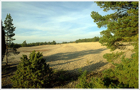 Gotland, Burgbackar - foto: Björn Pettersson