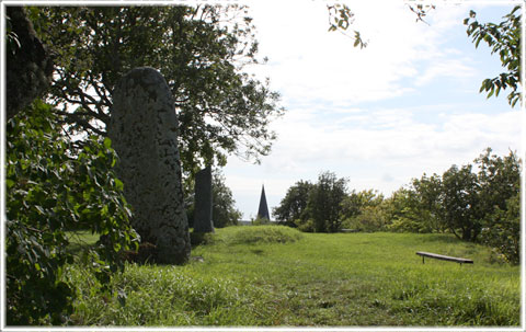 Gotland, Klinteberget - foto: Bernt Enderborg