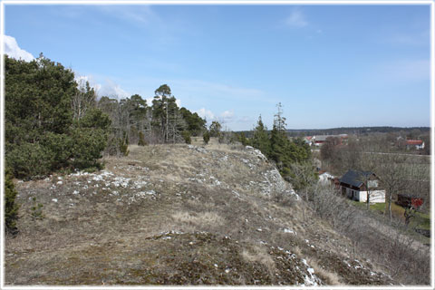 Gotland, Lindeberget - foto: Bernt Enderborg