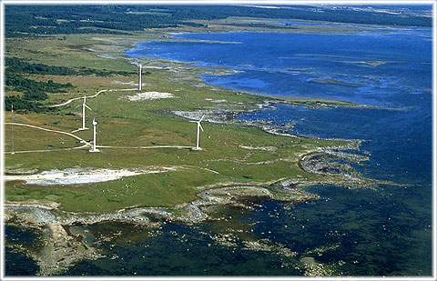 Gotland, Näsudden - foto: Björn Pettersson