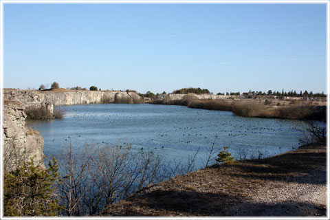 Gotland, Kalkbrott på Furillen - foto: Bernt Enderborg