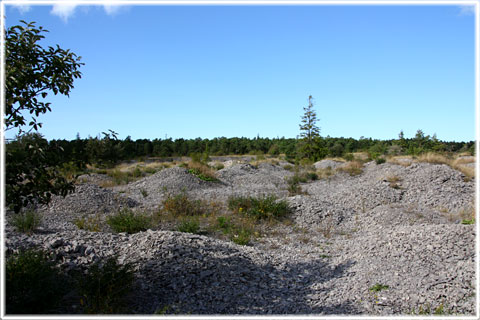 Brottet till Blse Kalkbruk, Fleringe