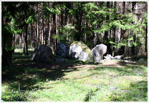 Dösen på Gotland - foto: Bernt Enderborg