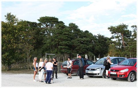 En tyst vandring med Carin - foto: Bernt Enderborg