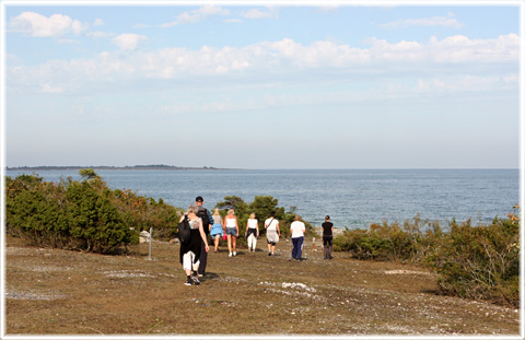 Vandra på Gotland