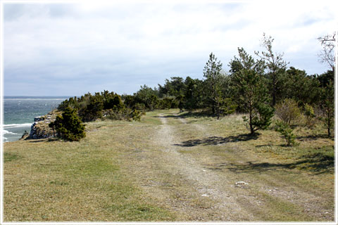 Löptur längs Klintkusten