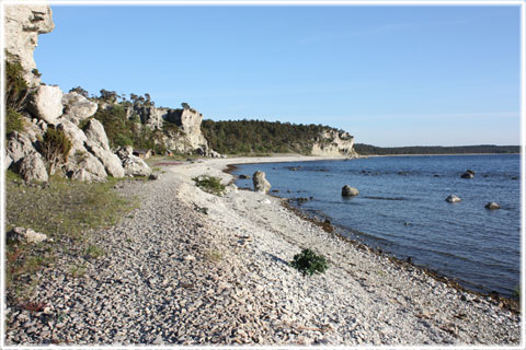 Vykort Gotland