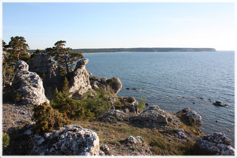 Vykort Gotland