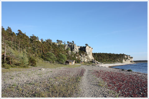 Sigsarve strand, Gotland
