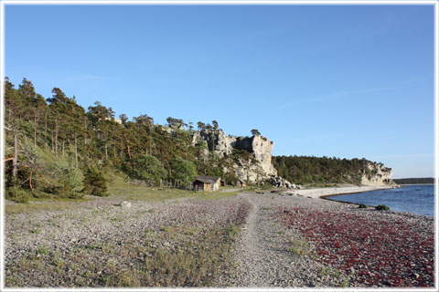 Vykort Gotland