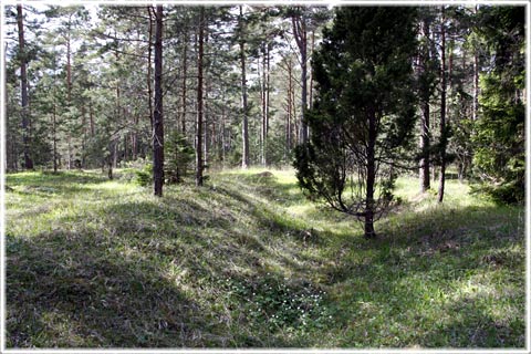 Fornborg, Strandridare Ahlboms vg