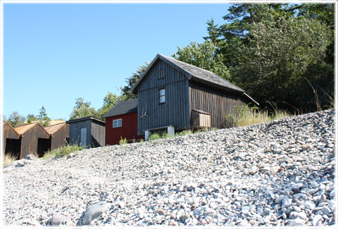 Ygne fiskelge p Gotland