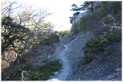 Gotland, Bergbetningen - foto: Bernt Enderborg