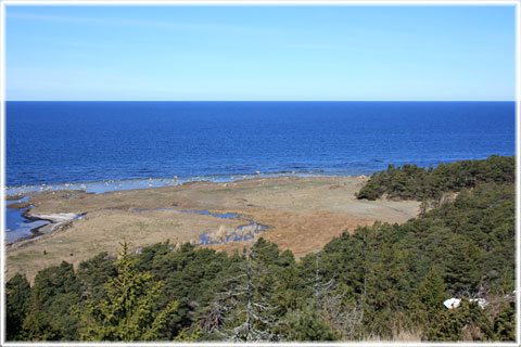 Gotland, Brucebo - foto: Bernt Enderborg