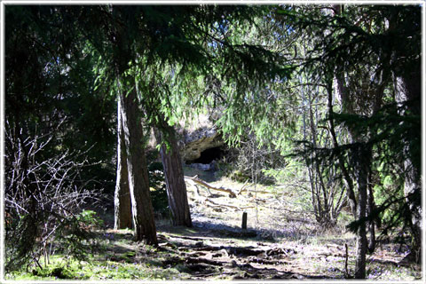 Naturstigar på Gotland - foto: Bernt Enderborg