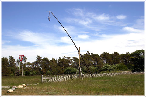 Ekstakusten