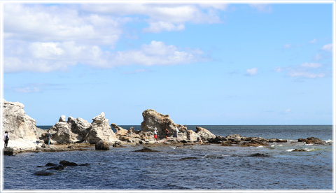 Gotland, Folhammar - foto: Bernt Enderborg