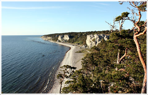 Gotland, Gotlandskusten - foto: Bernt Enderborg