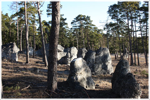 Gotland, Hideviken - raukar - foto: Bernt Enderborg