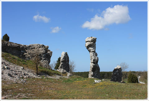 Gotland, Klinteklinten - foto: Bernt Enderborg