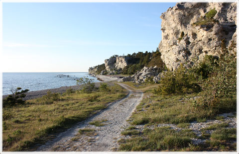 Vykort Gotland