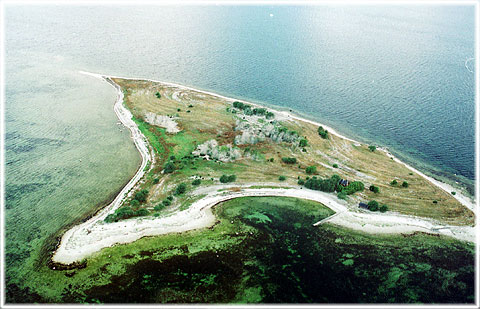 Vykort Gotland