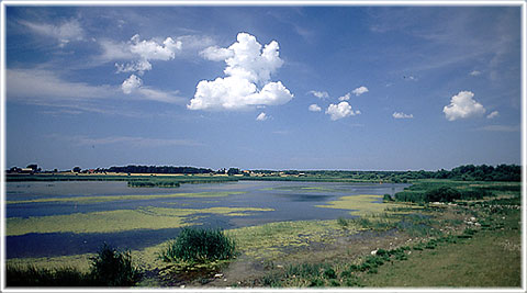 Gotland, Paviken - foto: Bernt Enderborg