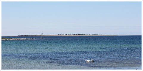 Gotland, Västergarns utholme - foto: Bernt Enderborg