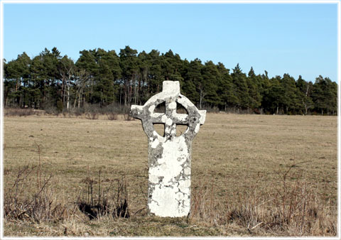 Gotland, Gutniska stenkors på Isle of Man - foto: Bernt Enderborg