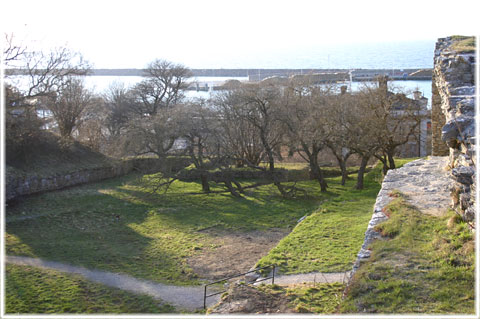 Gotland, Har Sören Norby ättlingar - foto: Bernt Enderborg