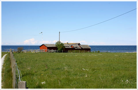 Bibos fiskelge