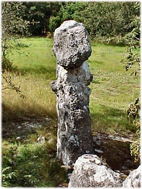 Gotland, Raukar - vad är det - foto: Bernt Enderborg