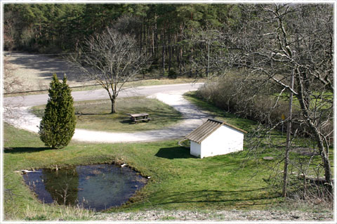 Gotland, Lau käldu - foto: Bernt Enderborg