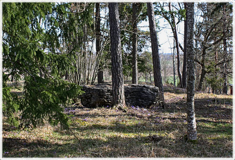 Gotland, Tjelvars varpe - foto: Bernt Enderborg