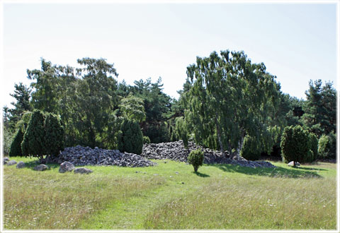 Vykort Gotland