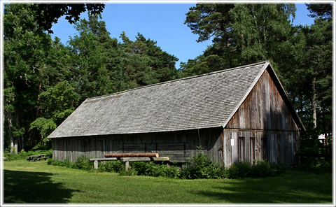 Petarve vattensåg