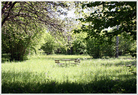 Gotland, Fonnsänge - foto: Bernt Enderborg