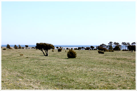 Gotland, Närkholm - foto: Bernt Enderborg