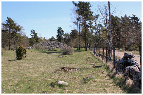 Gotland, Lukse stenröse, Luksrojr - foto: Bernt Enderborg