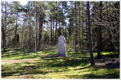 Gotland, Härstain - foto: Bernt Enderborg